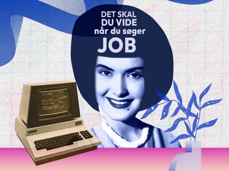 Det skal du vide, når du søger job